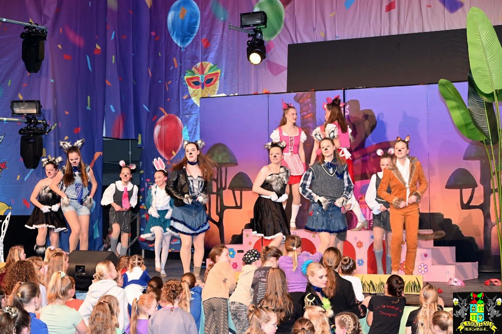 ../Images/Dansmariekefestival 2025 335.jpg